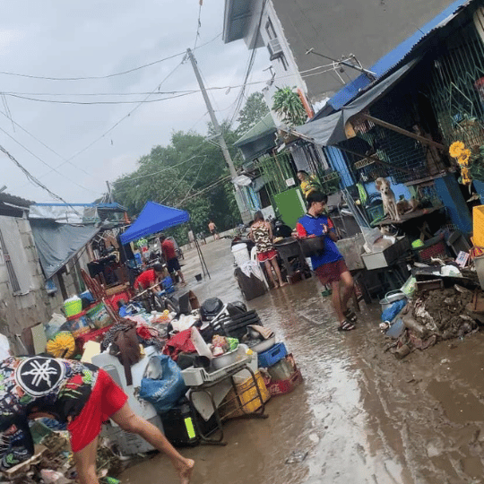 rebuild after a typhoon